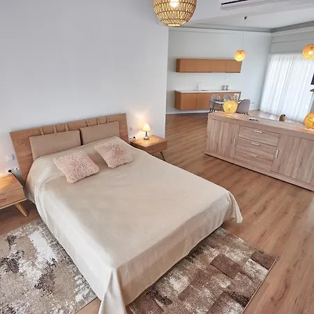 Apartamento The El Greco Spirit Meets The Athenian Luxury Apt1 Atenas